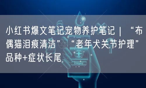 小红书爆文笔记宠物养护笔记｜“布偶猫泪痕清洁”“老年犬关节护理”品种+症状长尾
