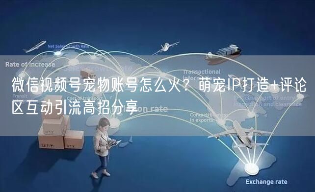 微信视频号宠物账号怎么火？萌宠IP打造+评论区互动引流高招分享