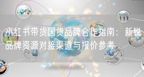 小红书带货国货品牌合作指南：新锐品牌资源对接渠道与报价参考