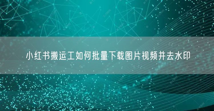 小红书搬运工如何批量下载图片视频并去水印