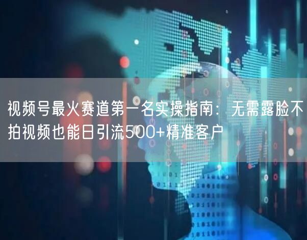 视频号最火赛道第一名实操指南：无需露脸不拍视频也能日引流500+精准客户