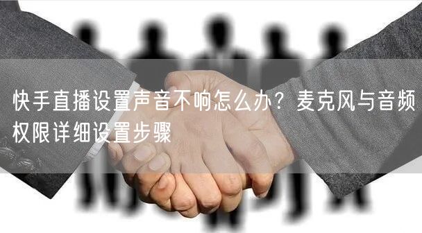 快手直播设置声音不响怎么办？麦克风与音频权限详细设置步骤